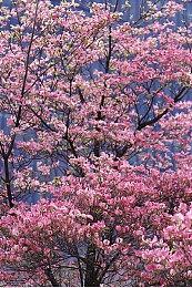 《原子之心》全新截图公布 展示视觉效果